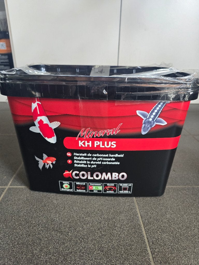 KH+ van colombo, Karper of Koi