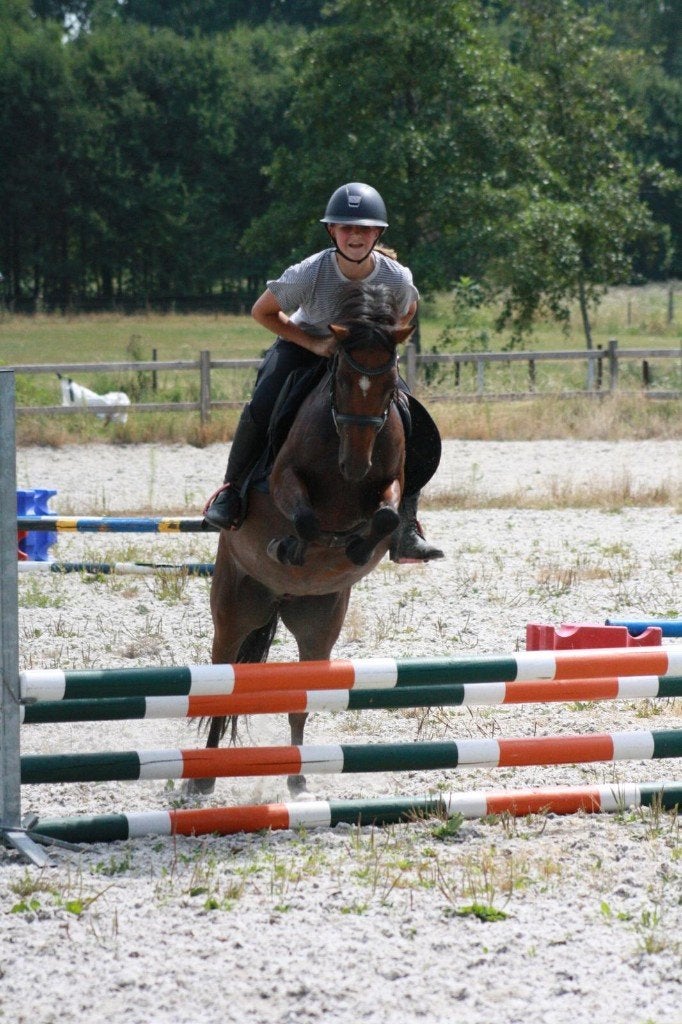 B-pony zoekt een nieuw huisje!, Poney B (1.17 m à 1.27 m), Poney de récréation, Ne s'applique pas, Jument
