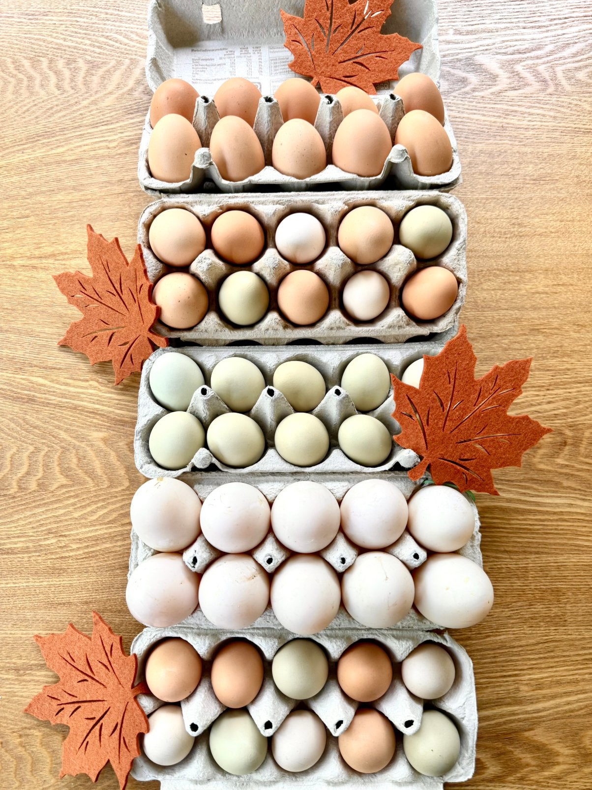 Oeufs de poule et œufs de canard bio frais à vendre !, Animaux & Accessoires, Volatiles, Autres espèces