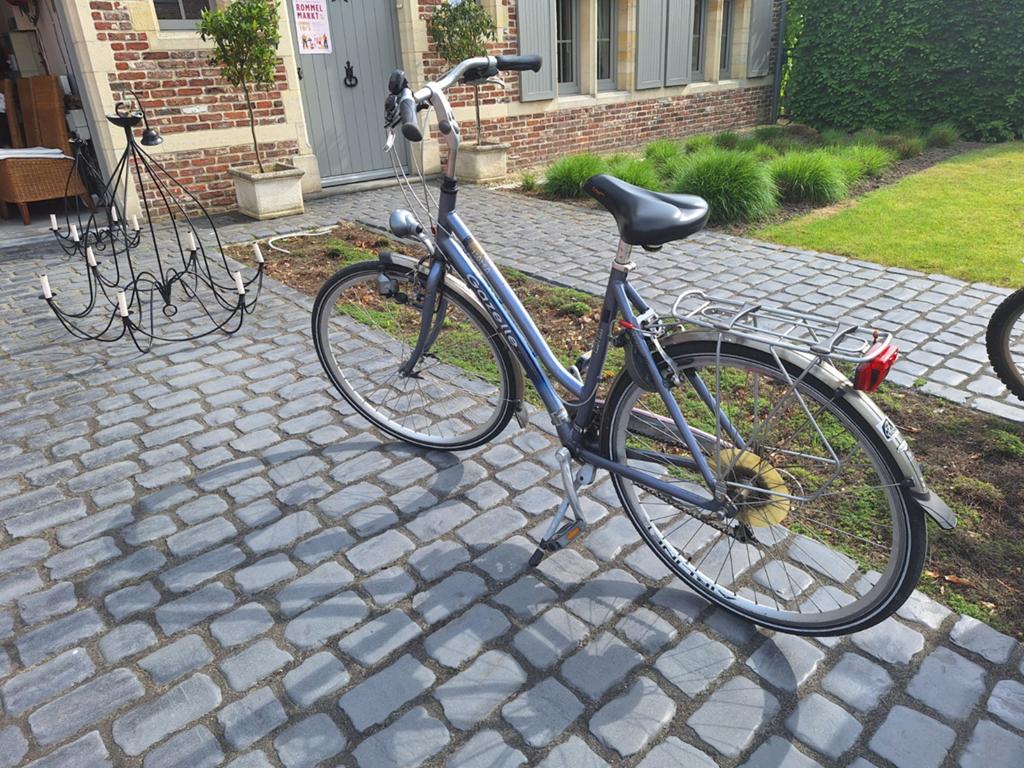 Damesfiets, Ophalen, Gazelle