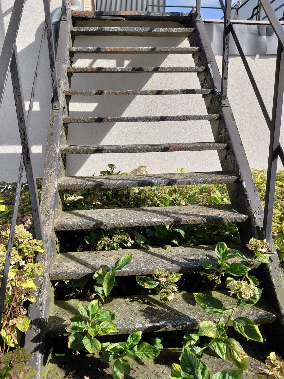 Trap staal, Ophalen, Gebruikt, Trap, 2 tot 4 meter