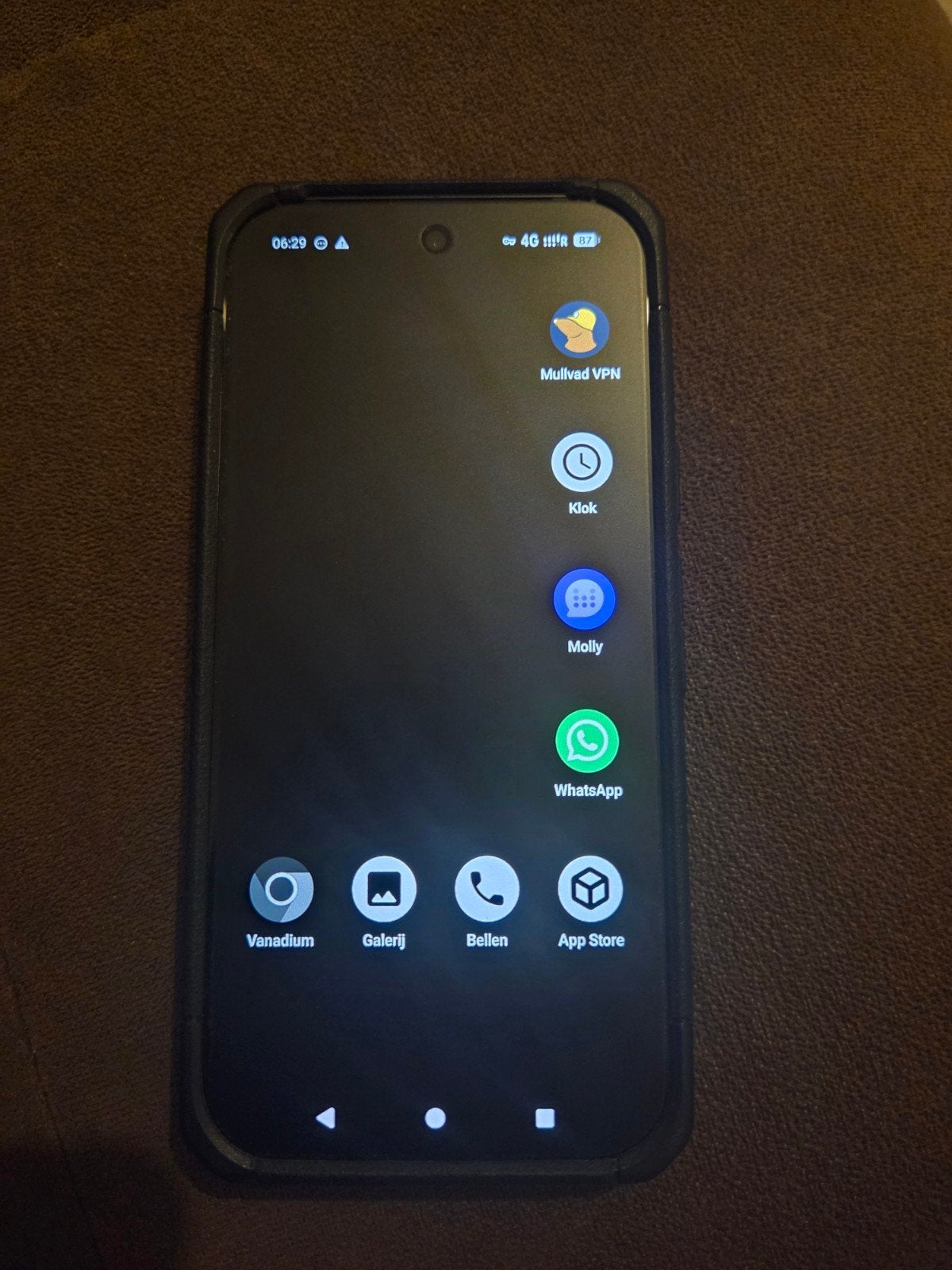 Google pixel 10 256gb Grapheneos, Télécoms, Neuf, 6 mégapixels ou plus, Enlèvement, Sans abonnement
