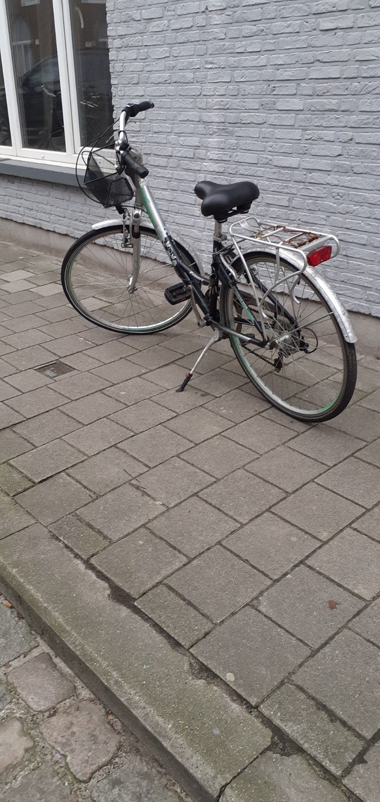 mooie danes  meisjes fiets, Ophalen