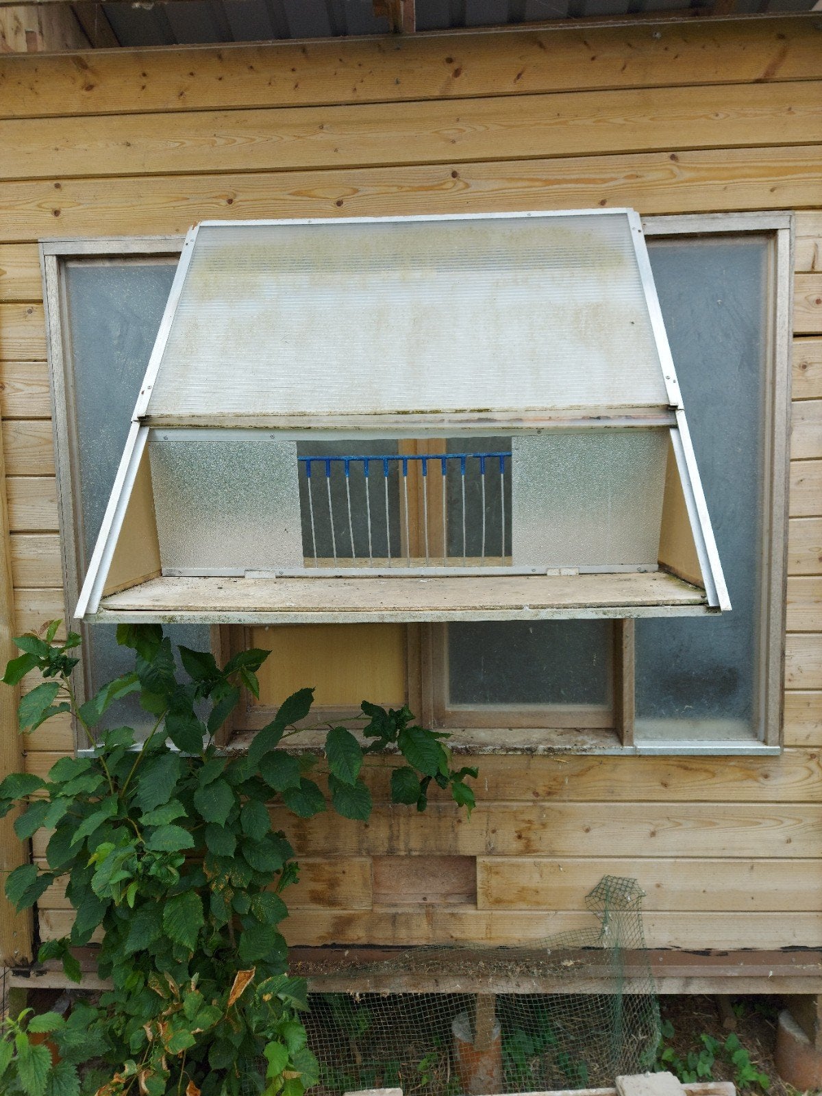 Spoetnik  voor duiven, Animaux & Accessoires