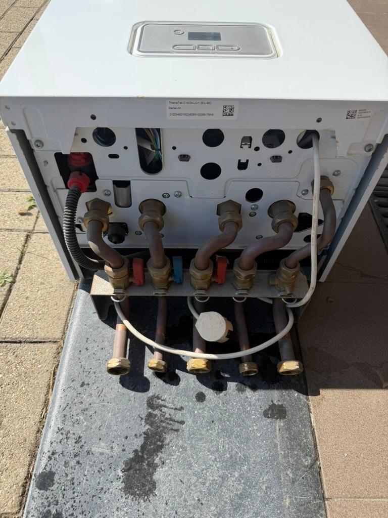 Chaudière Bulex ThemeTek, Protection de température de retour (RTS), Enlèvement, 3 à 5 ans, Gaz naturel