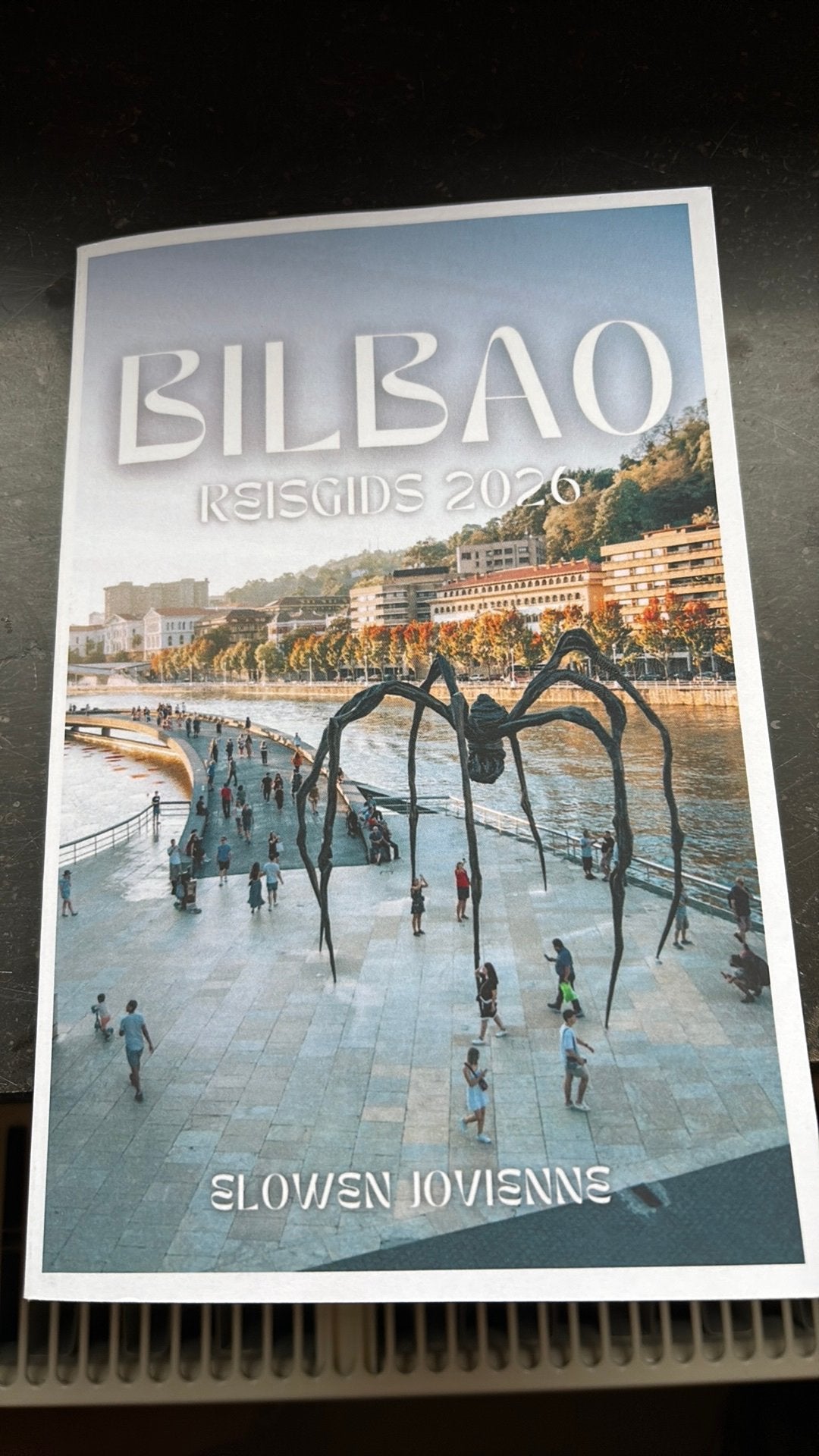 Reisgids Bilbao 2026, Boeken, Reisverhalen, Ophalen, Nieuw