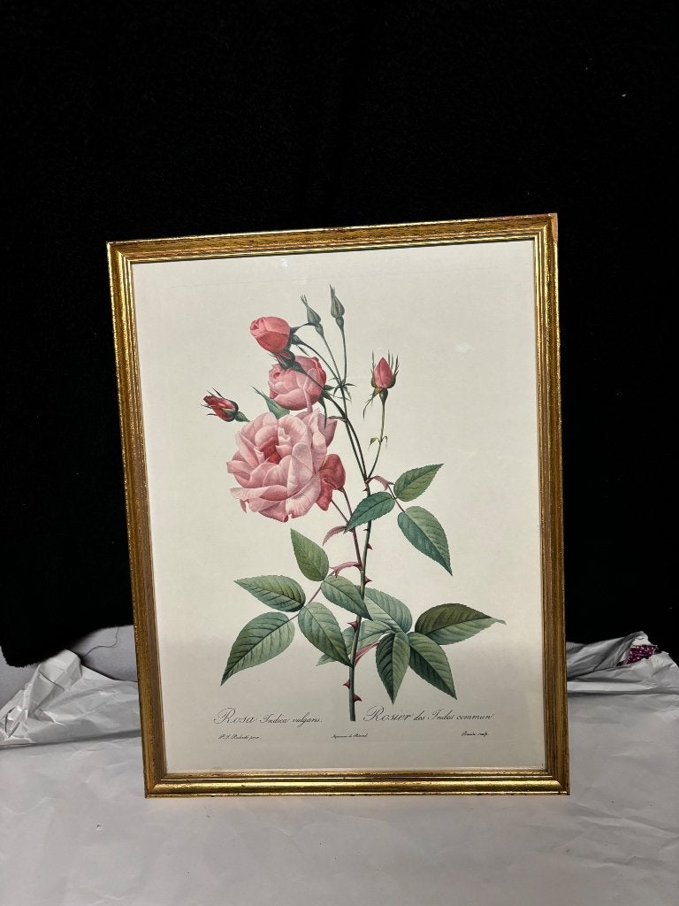 Lot de 2 cadres botaniques vintage "Roses", Maison & Meubles, Enlèvement, Verre, Doré