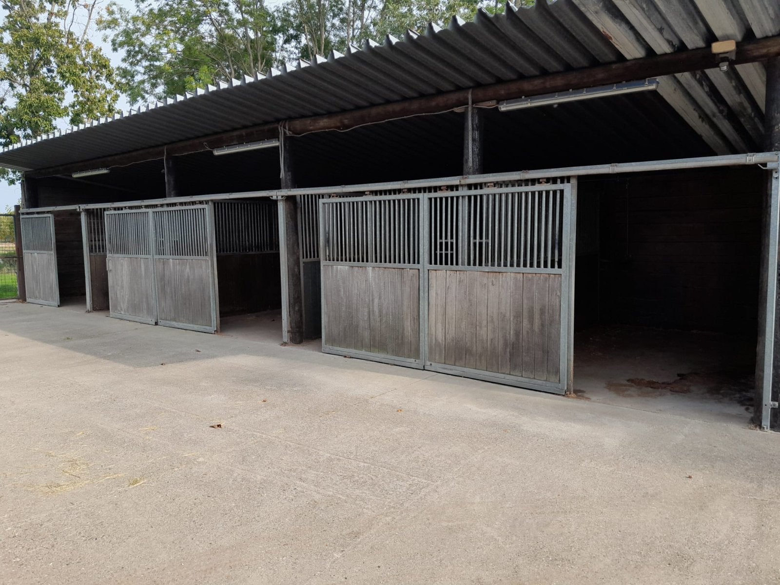 te huur: weide met stallen Gellik-Lanaken, Stalling, 4 paarden of pony's of meer