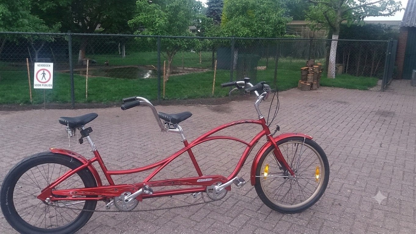 Electra Hellbetty Tandem, Ophalen