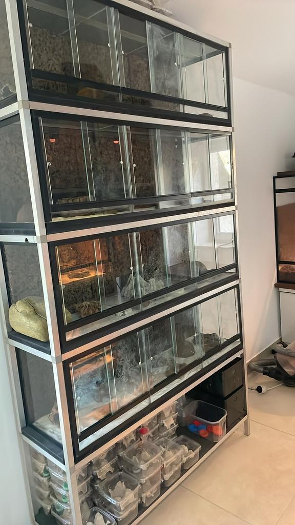 Terrarium stelling 12 kleine terrariums. Gereserveerd, Dieren en Toebehoren, Ophalen, Gebruikt