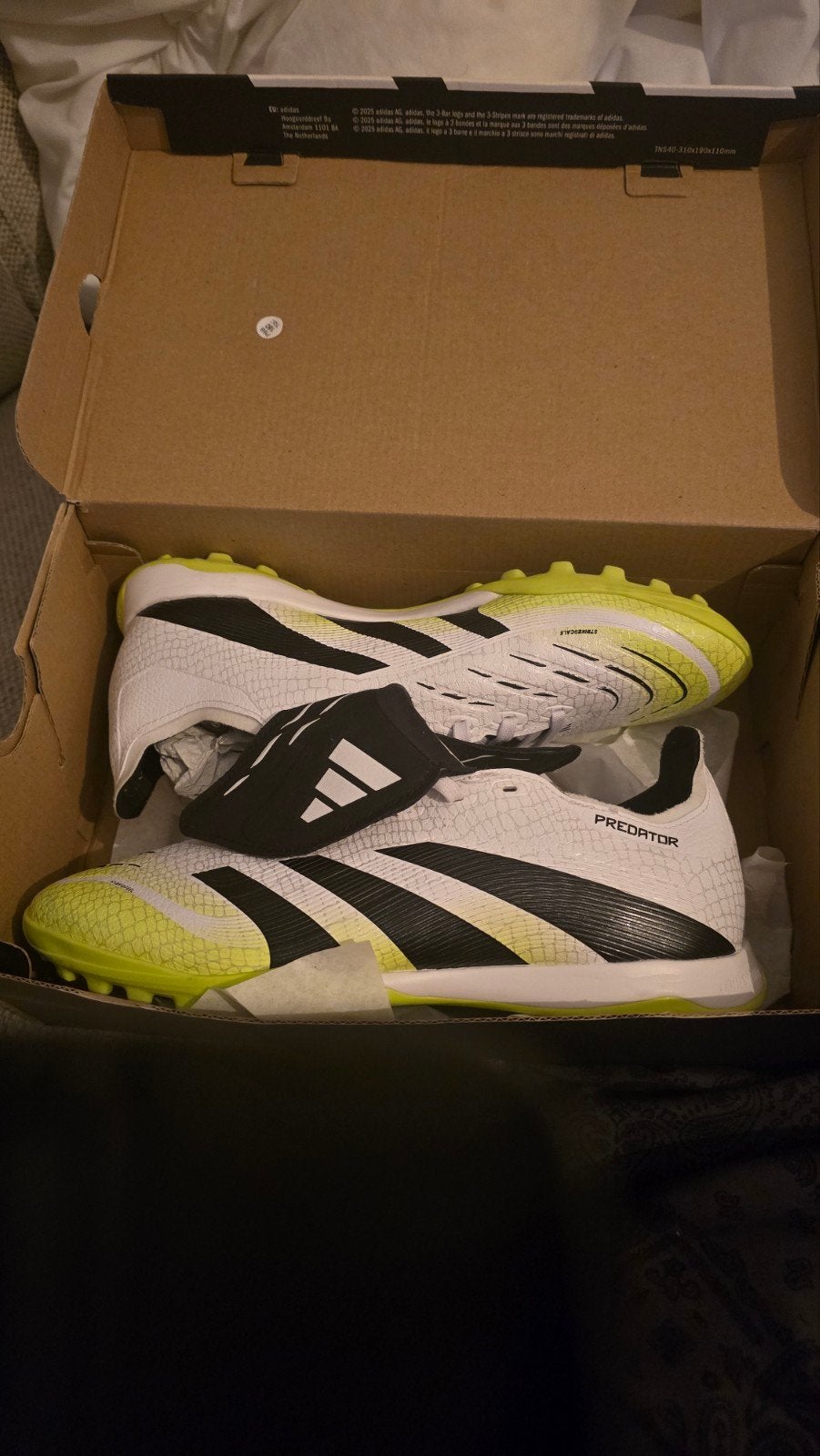 Adidas predator, Enlèvement ou Envoi, Neuf, Adidas, Autres types