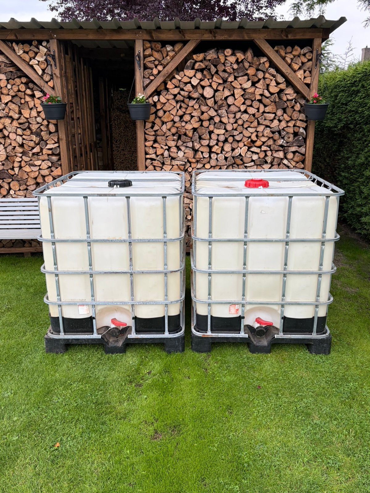 Ibc containers 1000 liter met plastic pallet, Ophalen