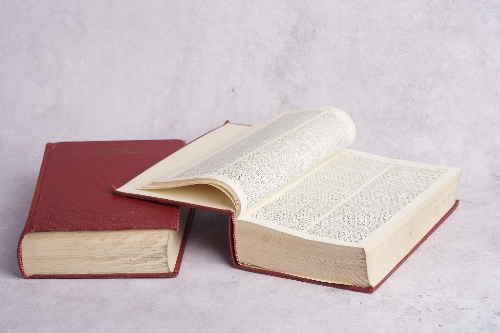 Great Van Dale de 1976, Livres, Enlèvement ou Envoi, Néerlandais, Utilisé, Van Dale