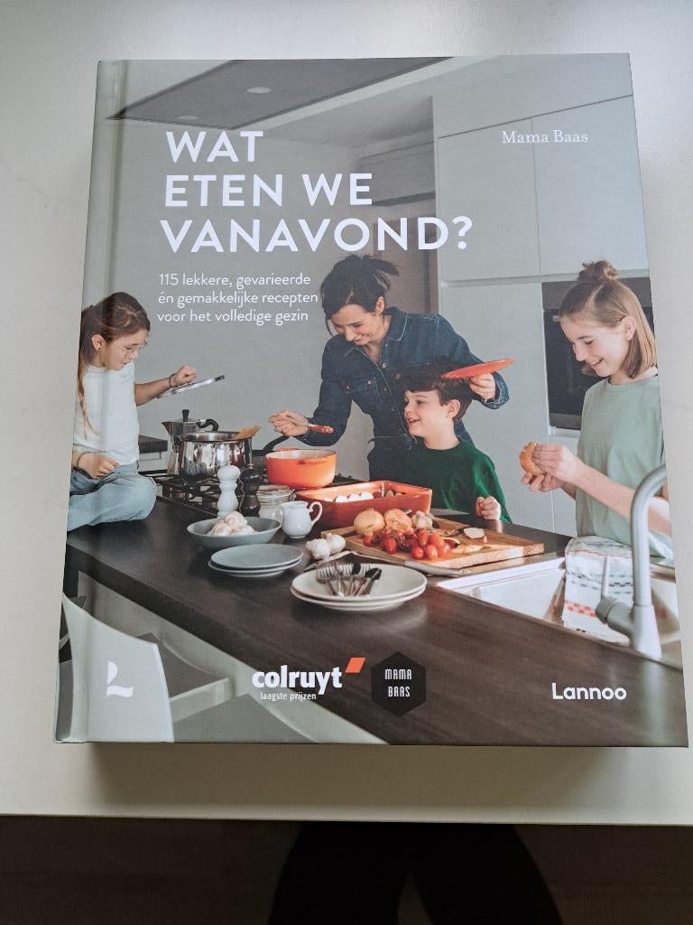 Kookboek wat eten we vanavond, Boeken, Hoofdgerechten, Nieuw, Ophalen of Verzenden, Diversen