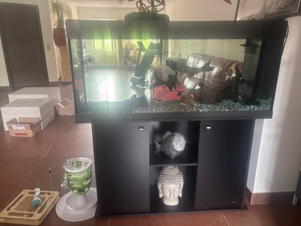 Aquarium  met vissen, Ophalen, Gebruikt, Inclusief vissen, Overige merken