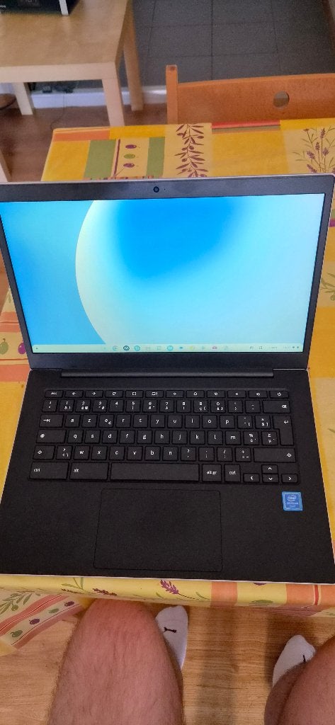 SAMSUNG Galaxy Chromebook Go Wi Fi 14", Neuf, 14 pouces, 64 GB, Enlèvement