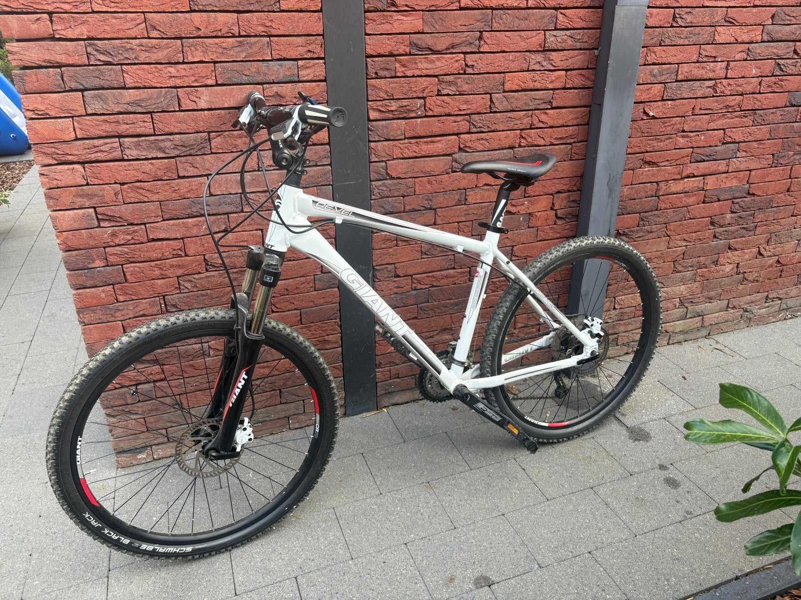 Giant Revel MTB, Enlèvement, Giant