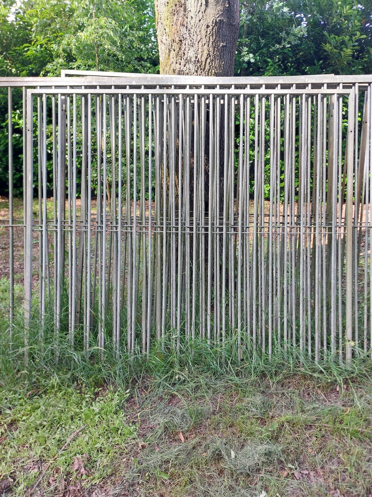 Honden ren, Dieren en Toebehoren, Ophalen
