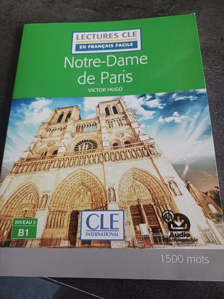 Notre-Dame de Paris, Ophalen of Verzenden, Zo goed als nieuw, Frans, Victor Hugo