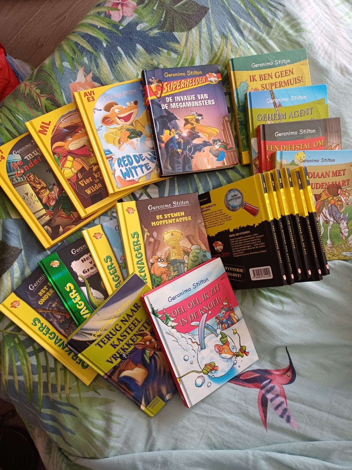 Geronimo Stilton leesboeken, Boeken, Ophalen of Verzenden, Zo goed als nieuw, Geronimo Stilton