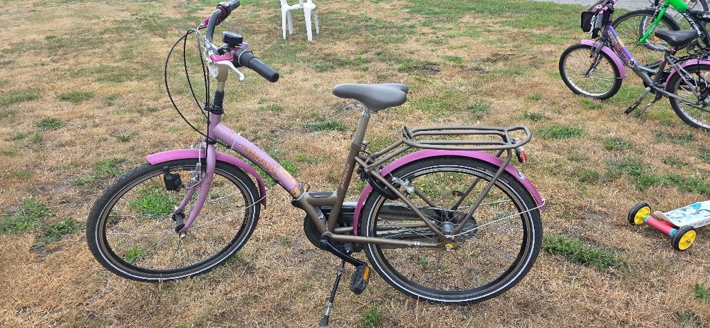 meisjesfiets 24 inch roze met sepia met 3 versnellingen, Batavus, Enlèvement, Frein sur jante, 24 pouces