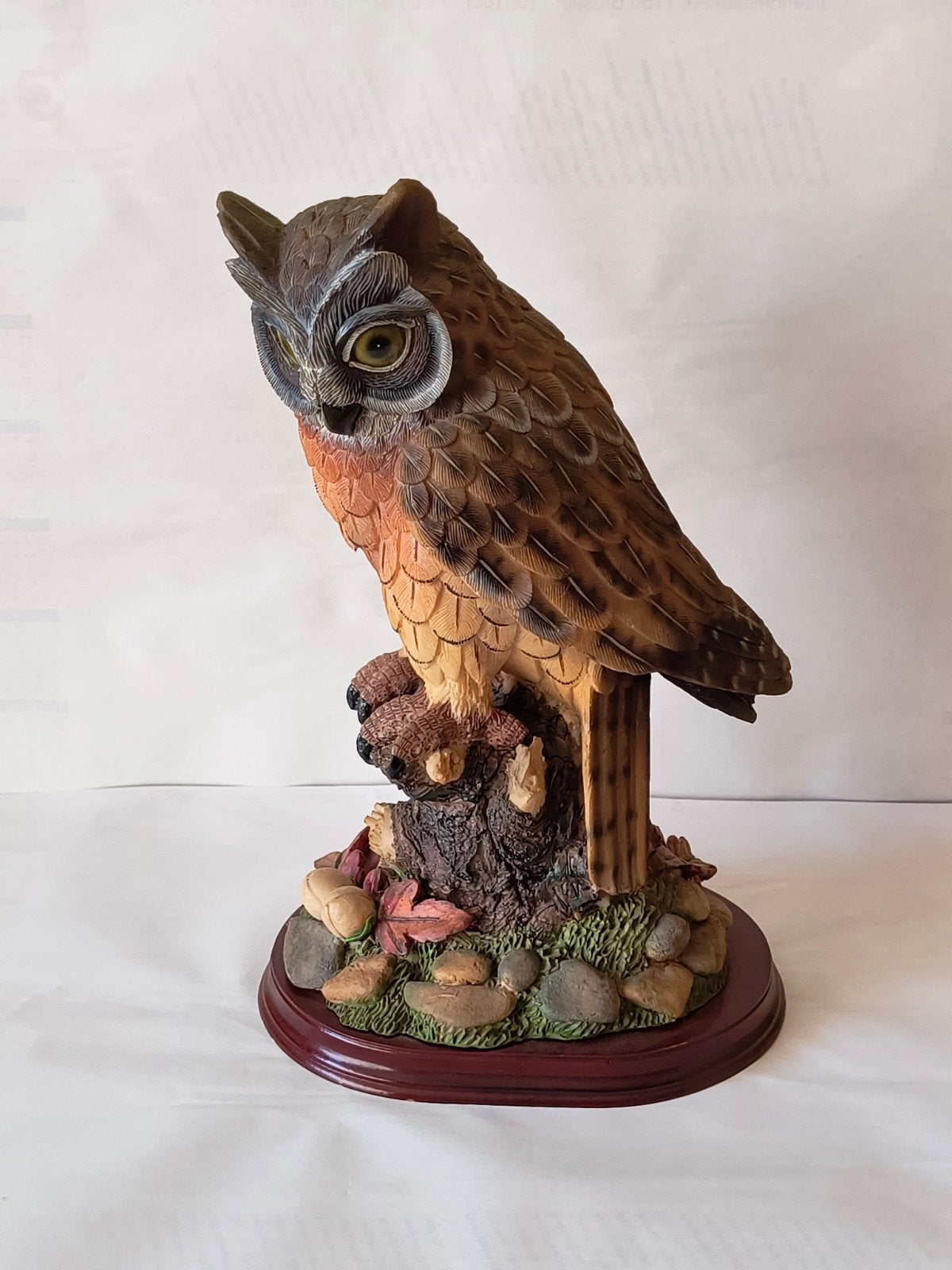 Image détaillée d'un hibou, Enlèvement, Utilisé, Animal