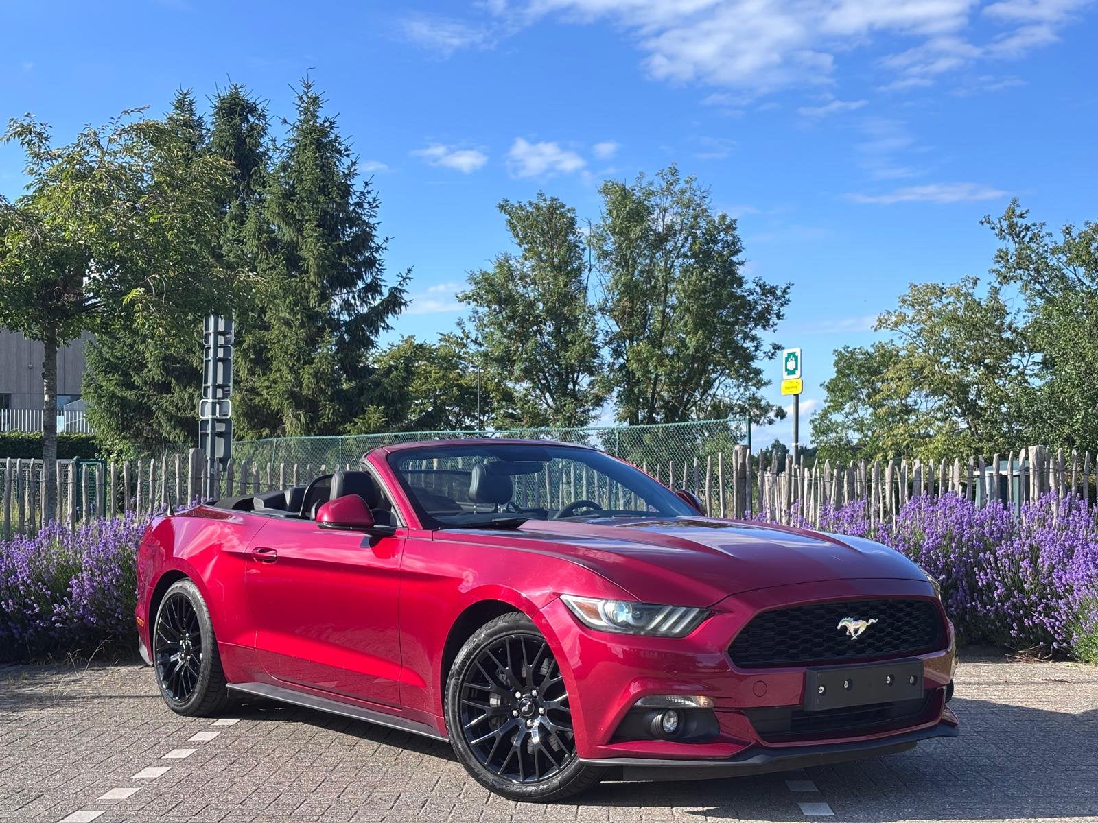 Ford Mustang Cabrio 2.3i Ecoboost automatique  2016, Autos, Ford, Particulier, Mustang, Sièges chauffants, Essence, Cabriolet