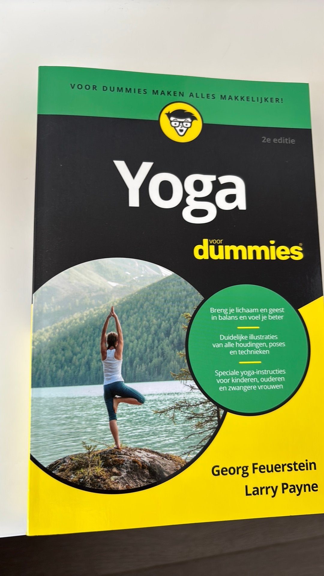 Larry Payne - Yoga voor Dummies, Boeken, Ophalen of Verzenden, Larry Payne; Georg Feuerstein