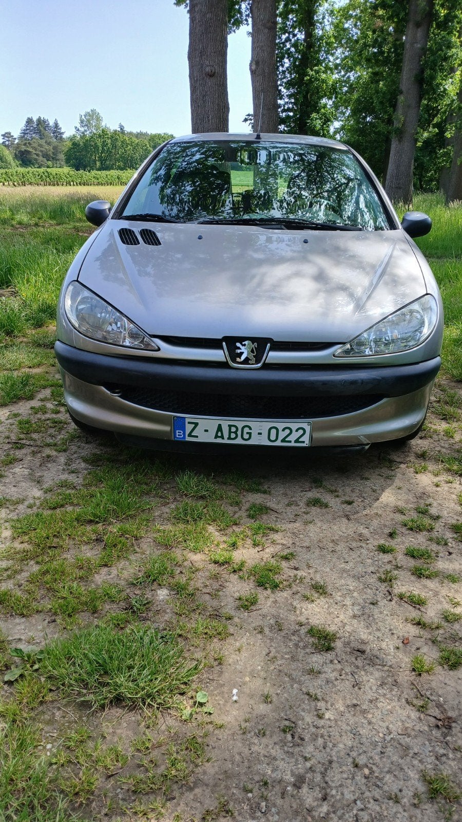 Peugeot 206 APPROUVÉE POUR LA VENTE, Autos, Achat, Entreprise, Boîte manuelle, 5 portes