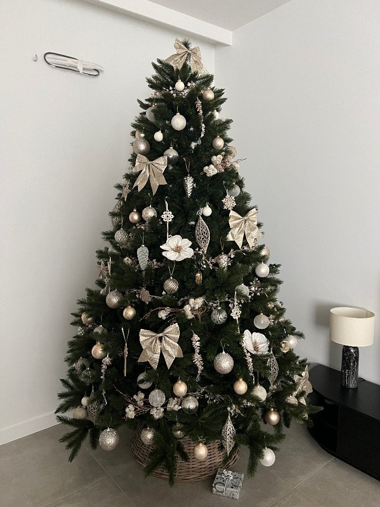 Kerstboom Triumph Tree Bristlecone 260cm, Ophalen