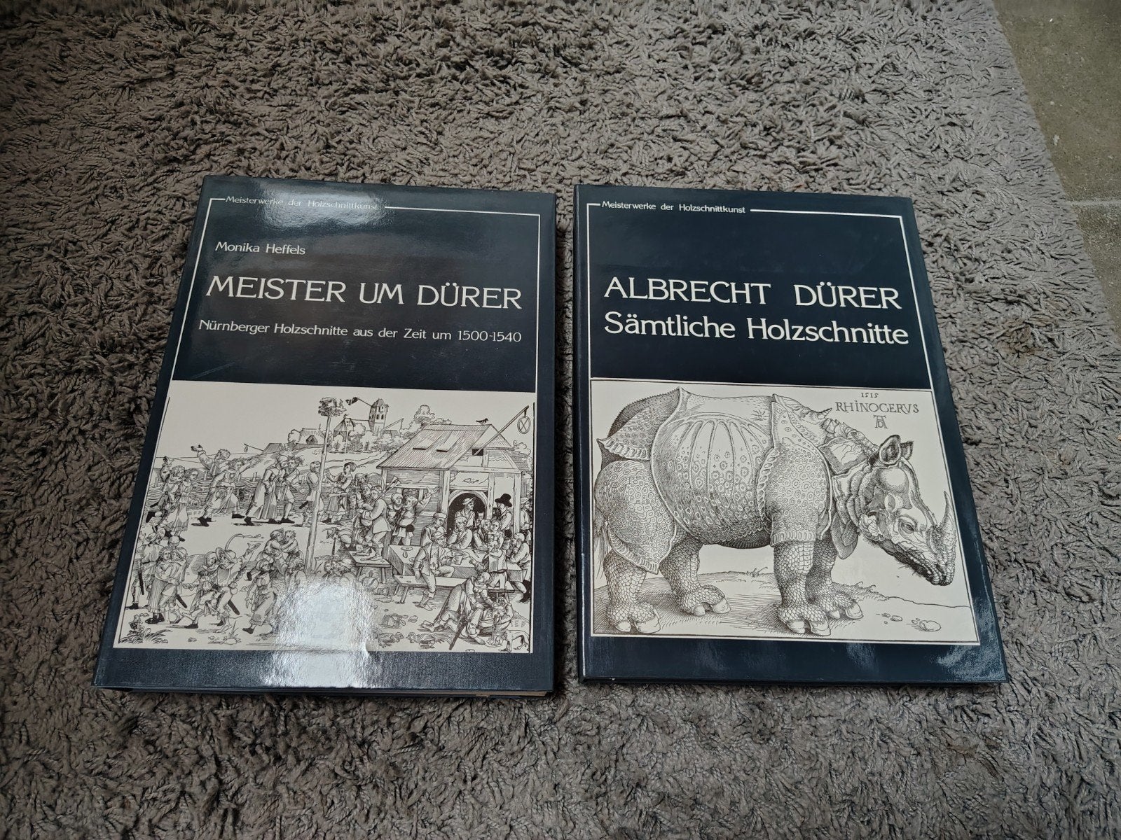 2 kunstboeken Albrecht Dürer, Boeken, Ophalen of Verzenden