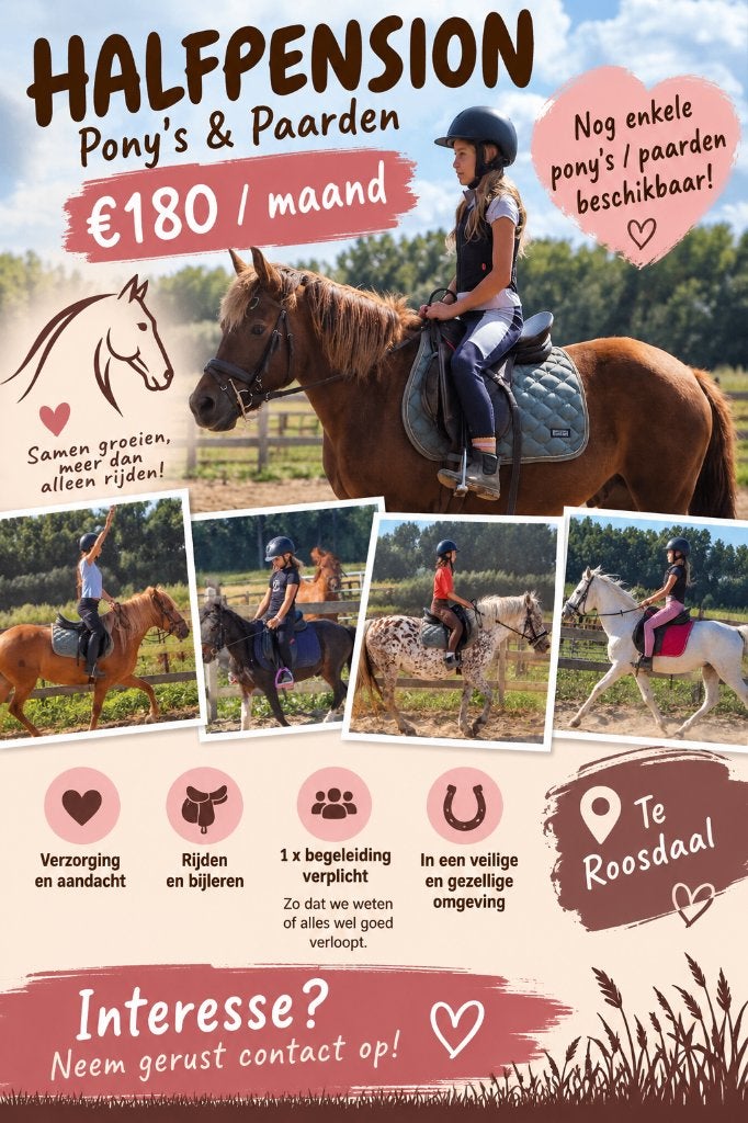 HALFPENSION – PONY’S & PAARDEN, Dieren en Toebehoren, Pony's, 11 jaar of ouder