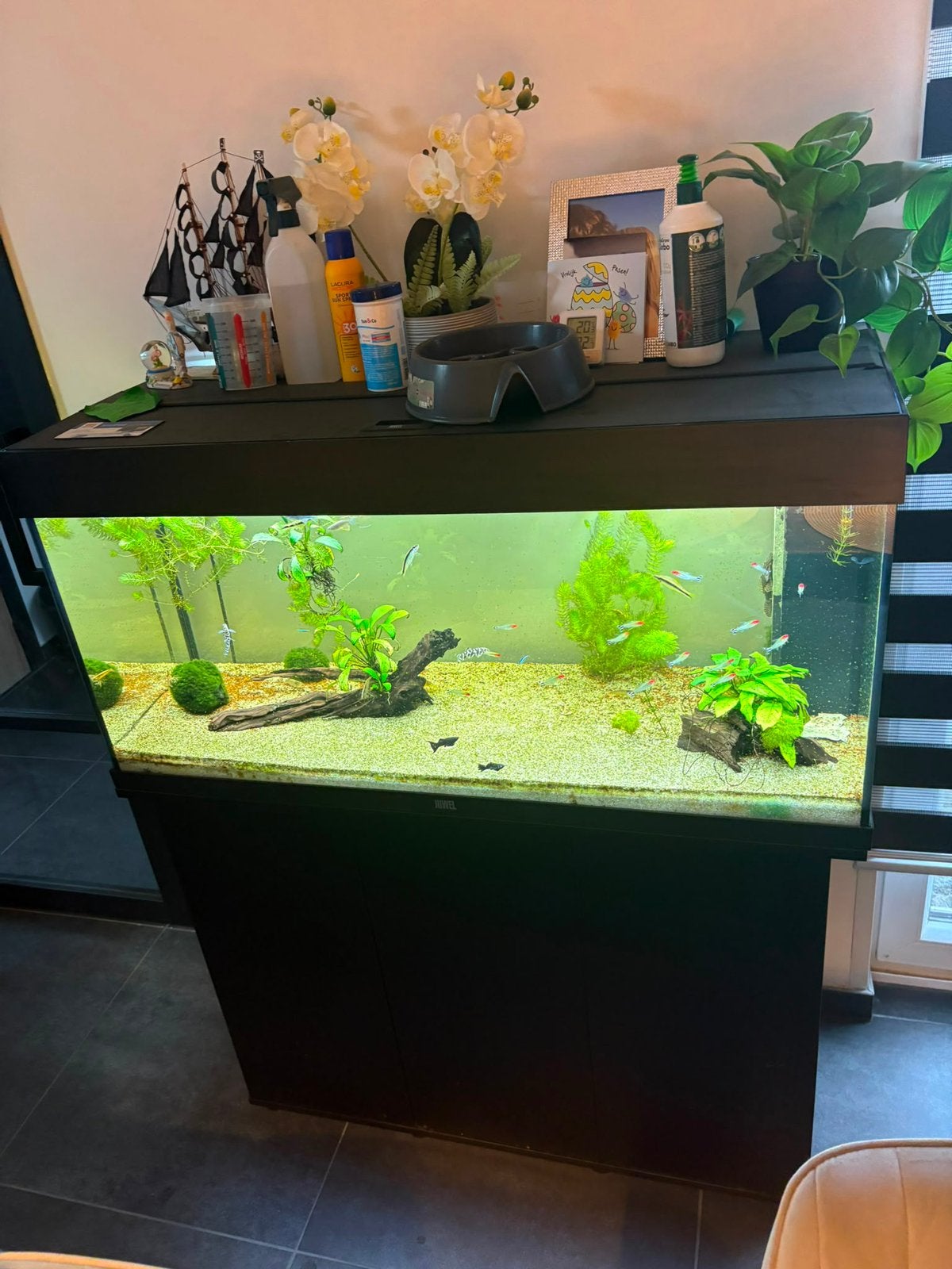Magnifique aquarium !, Animaux & Accessoires, Poissons | Aquariums & Accessoires, Enlèvement, Comme neuf, Filter