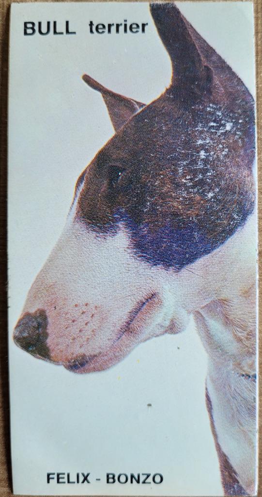Oude sticker: Bull Terriër, Ophalen of Verzenden, Gebruikt, Dier en Natuur