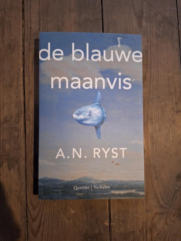 A.N. Ryst - De blauwe maanvis, Boeken, Literatuur, Zo goed als nieuw, Ophalen of Verzenden