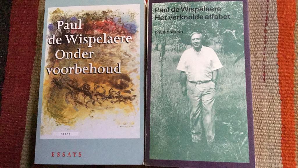 Paul de Wispelaere, Het Verkoolde alfabet & Onder voorbehoud, Boeken, Ophalen of Verzenden