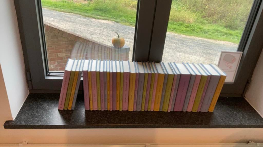 Boeken bibliotheek Het Laatste Nieuws reeks van 35 boeken, Enlèvement, Neuf