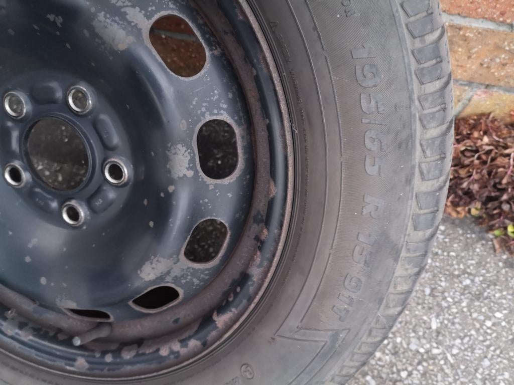 Ford Focus Semperit sport grip. Winterbanden, Ophalen of Verzenden, Gebruikt, Winterbanden