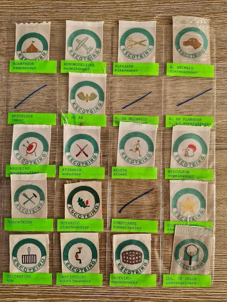 scouts brazilie vaardigheidsinsignes groot lot, Ophalen of Verzenden, Zo goed als nieuw, Embleem, Speld of Insigne