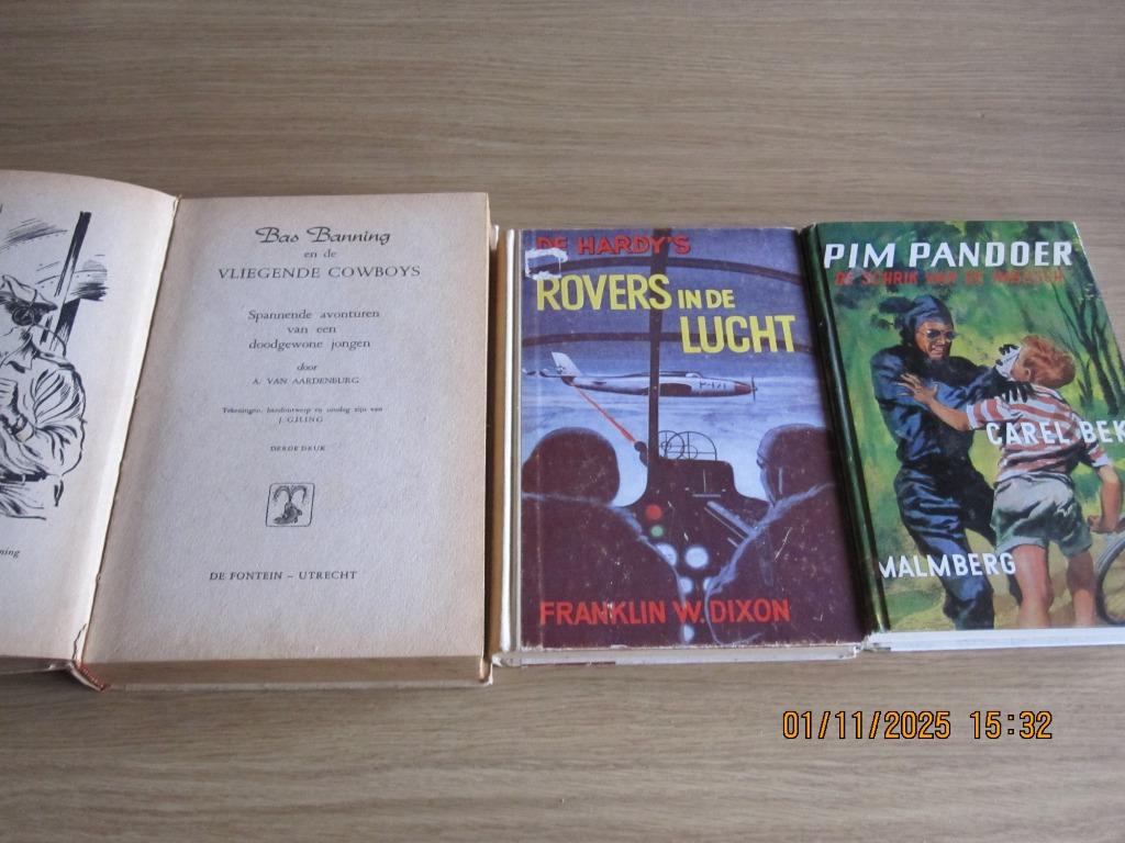 Oude jeugdboeken van Pim Pandoer,, de Hardy's , Bas Banning, Boeken, Ophalen of Verzenden
