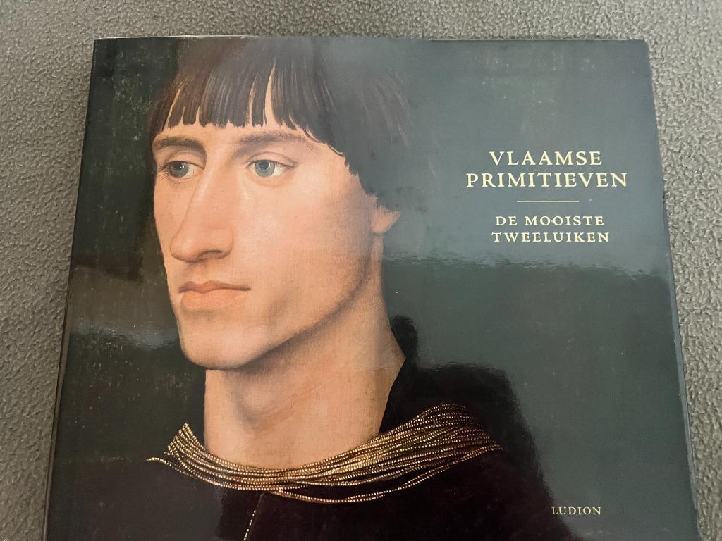 Vlaamse Primitieven. De mooiste tweeluiken., Boeken, Kunst en Cultuur | Beeldend, Gelezen, Nico Van Hout, Ophalen of Verzenden