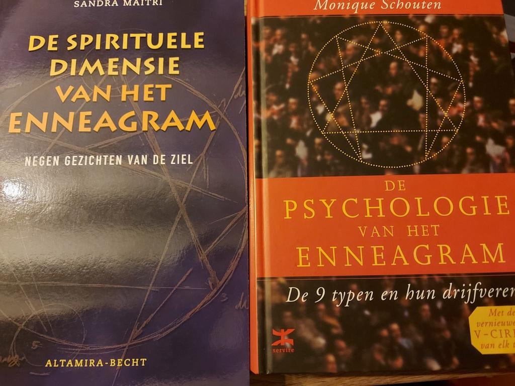 psychologie vh enneagram + spirituele dimensie vh eneagram, Ophalen of Verzenden