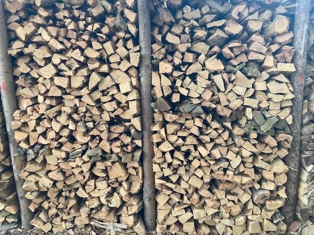 bois de chauffage 120€ par stère empilé à sec, Jardin & Terrasse, Bois de chauffage, Bûches, Hêtre, 3 à 6 m³, Enlèvement