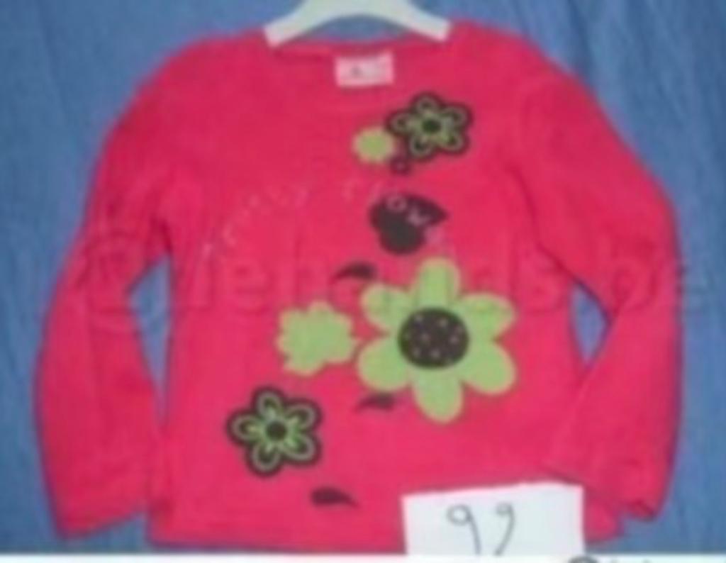 rode blouse met bloemen maat 92, Enfants & Bébés, Vêtements enfant | Taille 92, Enlèvement ou Envoi, C&A, Fille, Chemise ou À manches longues