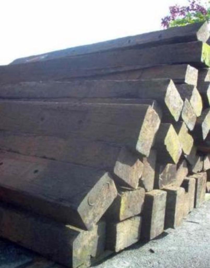 Treinbilzen, Ophalen, 25 cm of meer, Biels, 200 cm of meer