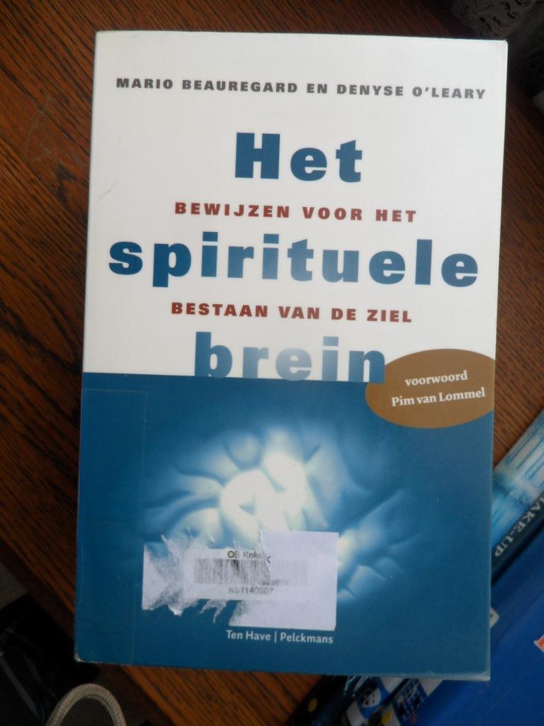 het spirituele brein, Livres, Ésotérisme & Spiritualité, Envoi