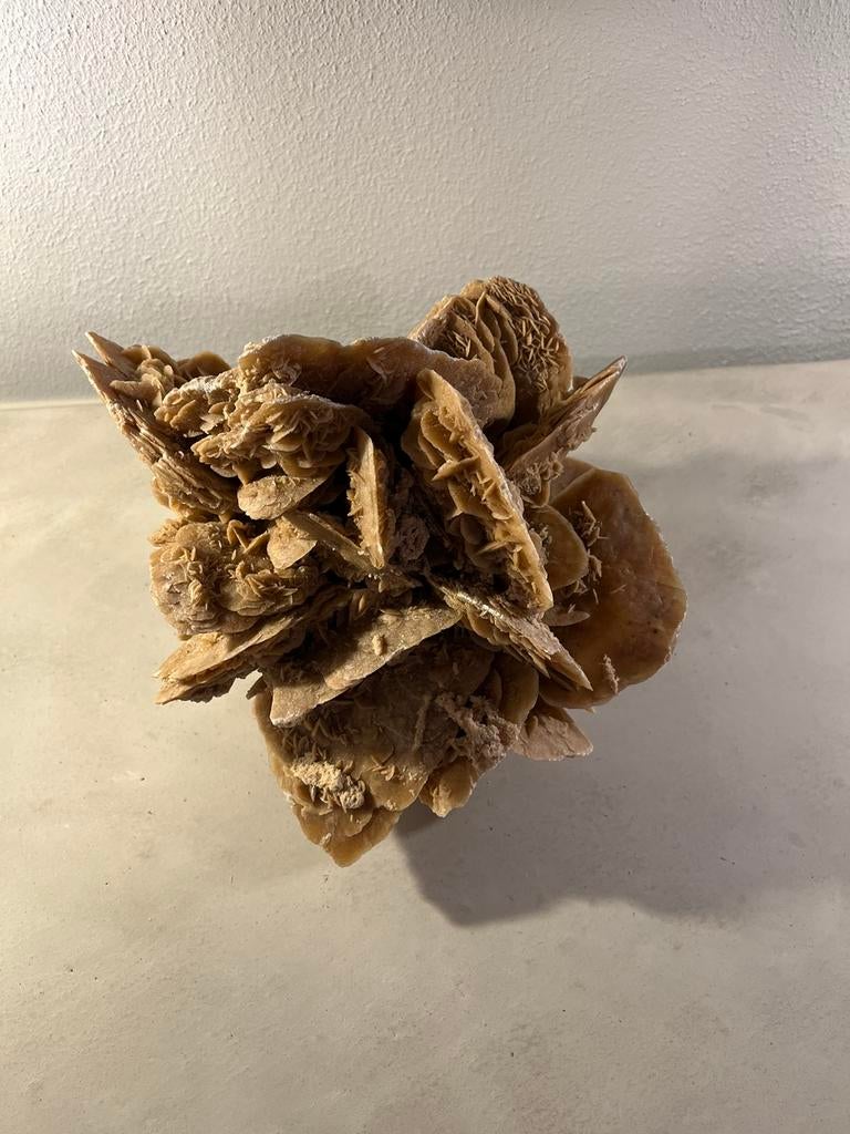 Grote woestijnroos, Verzamelen, Ophalen of Verzenden, Mineraal