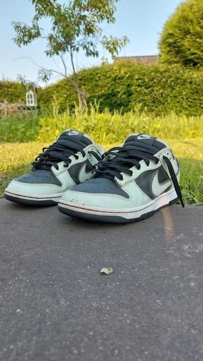Nike Dunk Low Retro Premium maat 42.5, Ophalen