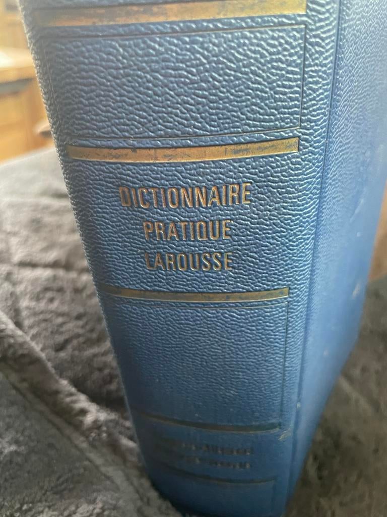 Dictionnaire pratique Larousse  Allemand Français, Larousse, Enlèvement, Allemand, Autres éditeurs