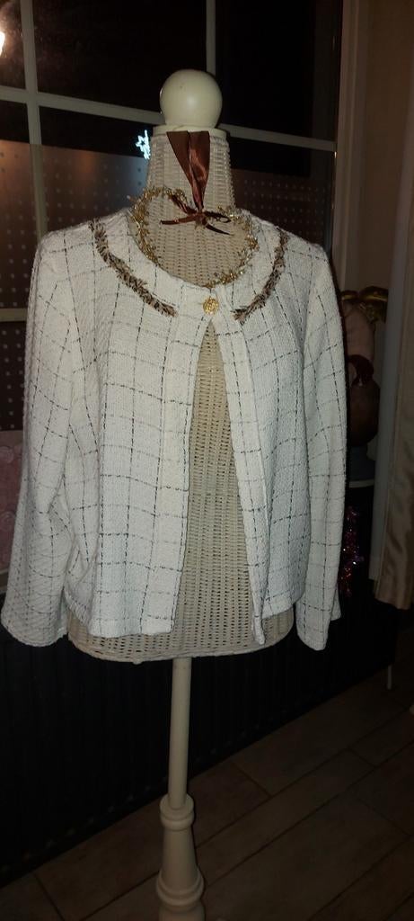 Vestje maat large/ xl, Ophalen of Verzenden